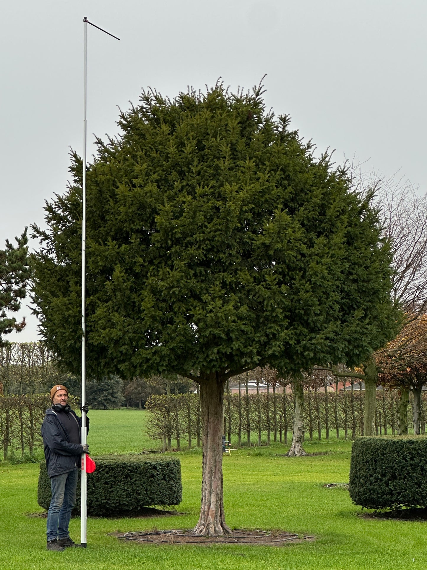 TB TREE #094