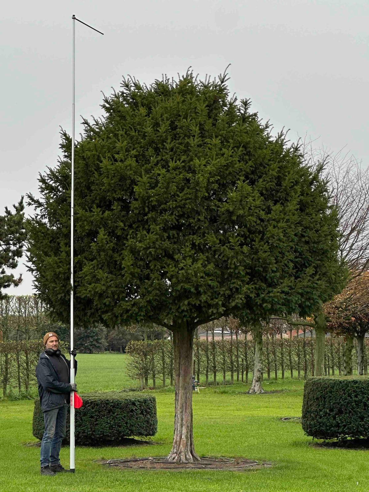TB TREE #094